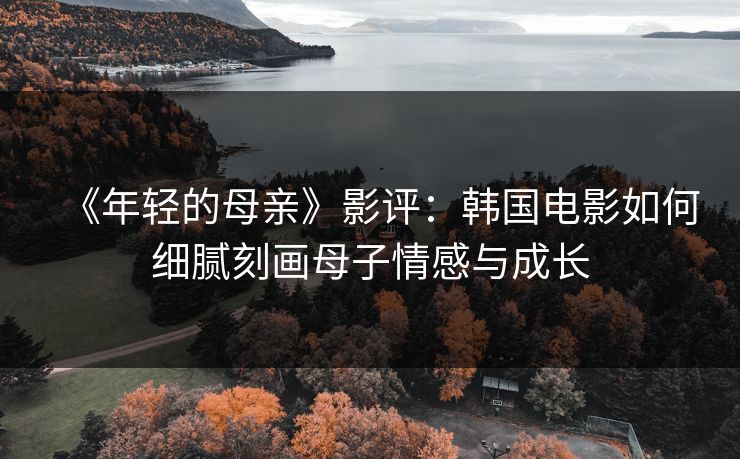 《年轻的母亲》影评：韩国电影如何细腻刻画母子情感与成长