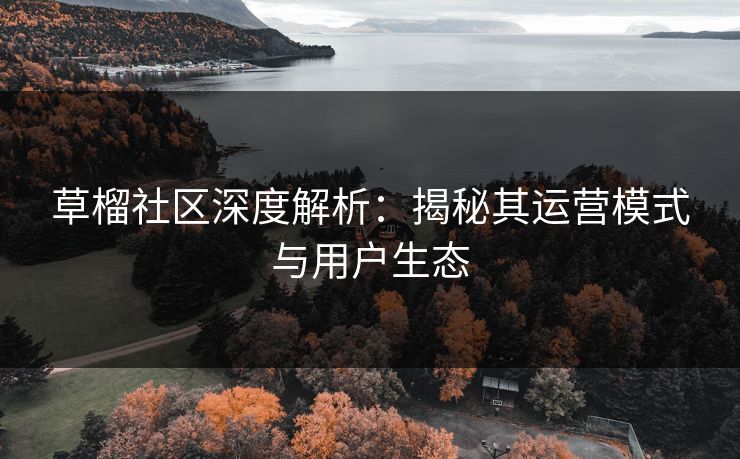 草榴社区深度解析:揭秘其运营模式与用户生态