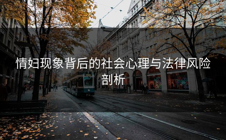 情妇现象背后的社会心理与法律风险剖析