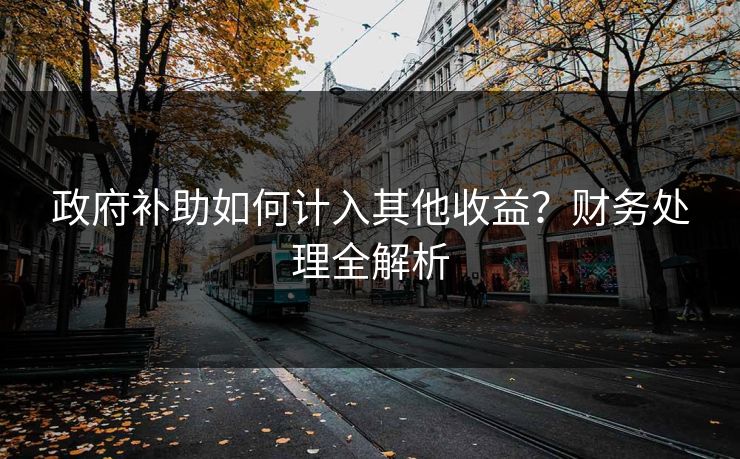 政府补助如何计入其他收益？财务处理全解析