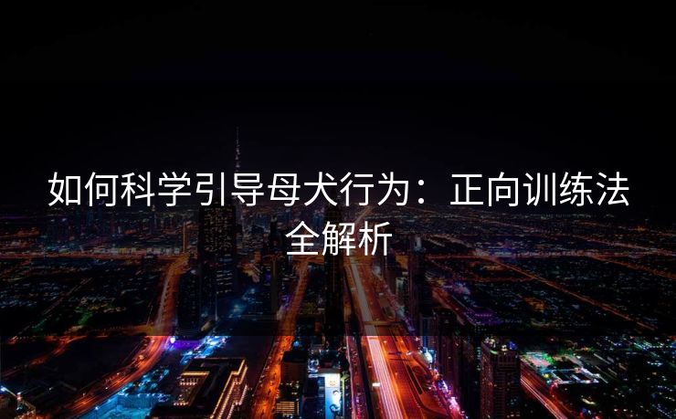 如何科学引导母犬行为：正向训练法全解析