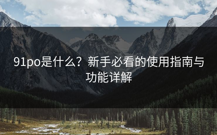 91po是什么?新手必看的使用指南与功能详解 91po是什么?新手必看的使用指南与功能详解