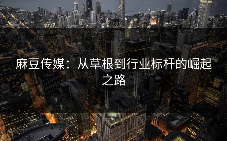 麻豆传媒：从草根到行业标杆的崛起之路