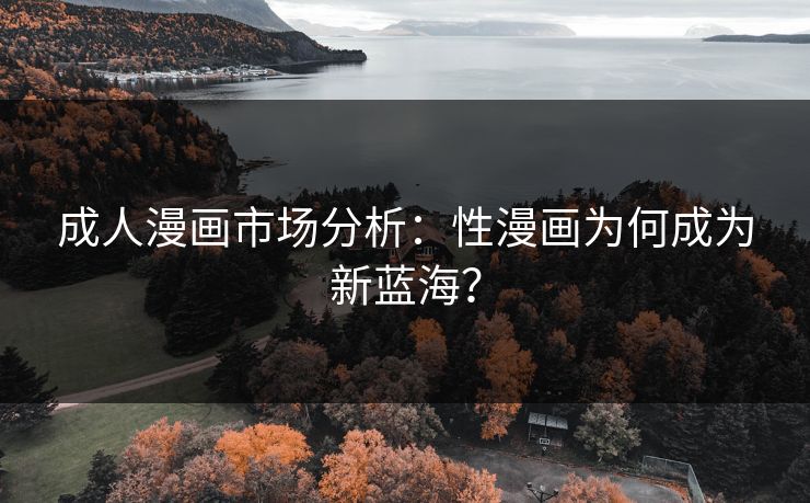 成人漫画市场分析：性漫画为何成为新蓝海？