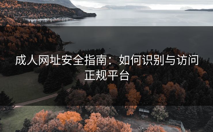 成人网址安全指南：如何识别与访问正规平台